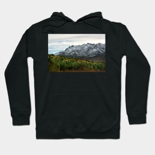 Winter in the Florida Mountains ~ New Mexico USA Hoodie